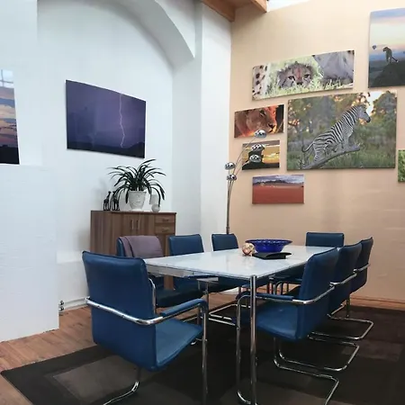 Dresden Lofts 公寓 海德瑙